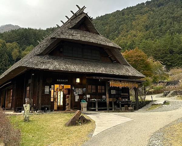 秋天賞楓趣=秋天不賞楓要幹嘛2024.輕井澤.雲場池.採菓.