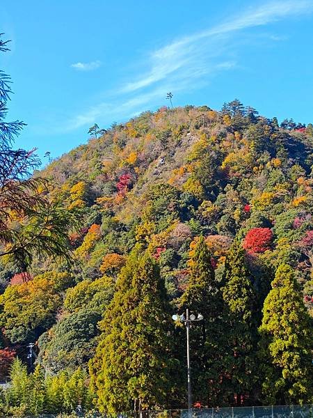 兩地友人合流相約大阪碰=『有馬溫泉』.六甲山纜車.有馬老街.