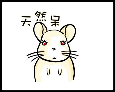 Chinchilla Diary 14-1.jpg