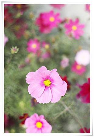 IMG_7066.JPG