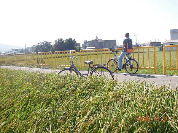 兩台腳踏車打天下