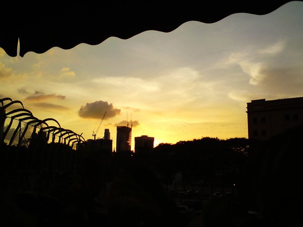 DSC03803.jpg