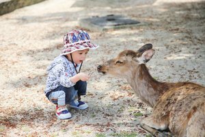 LR_IMG_3238.jpg