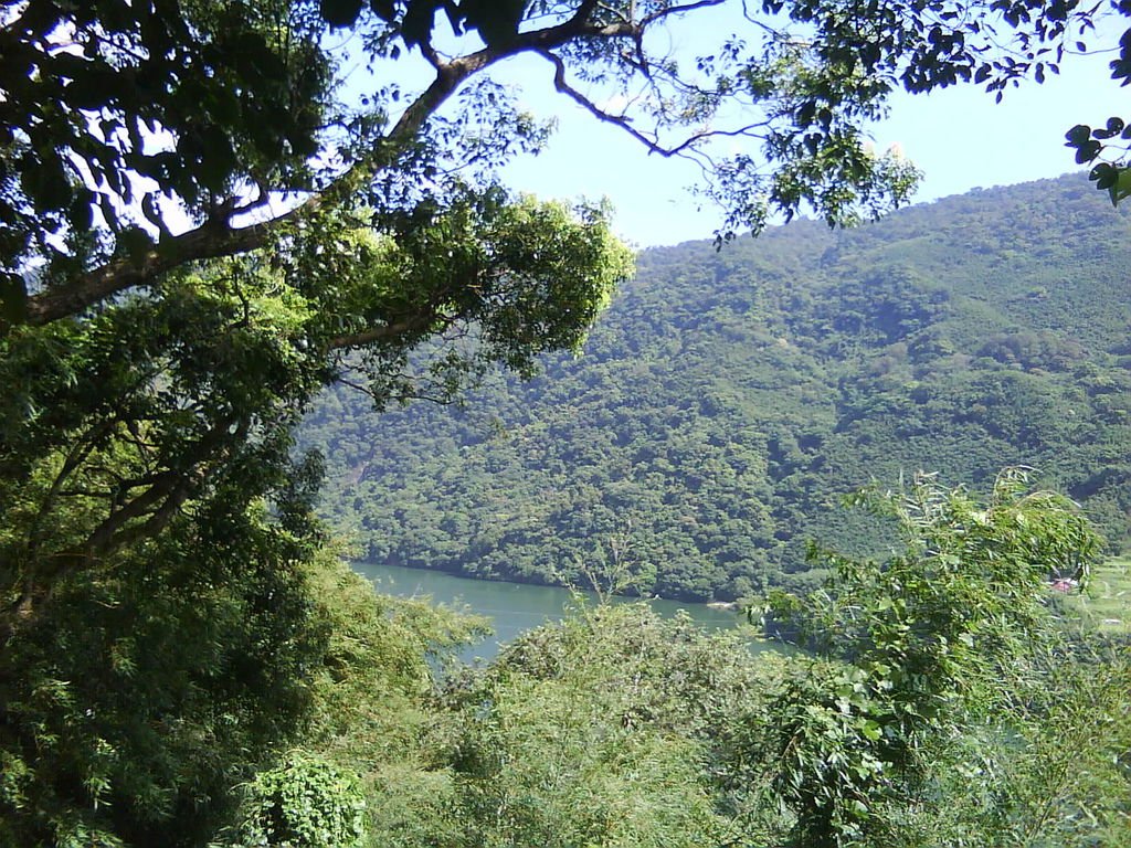 DSC00150.JPG