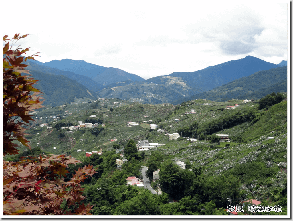 《梨山風景區》《梨山賓館》『楓之谷秘密花園』【台中美景】怎麼玩一次搞懂!!