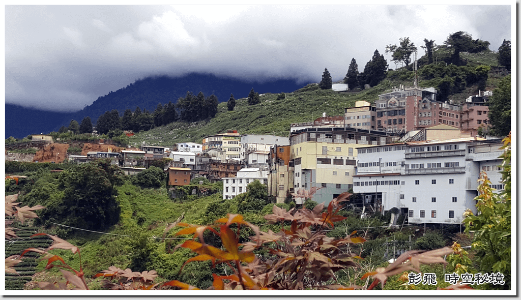 《梨山風景區》《梨山賓館》【台中美景】怎麼玩一次搞懂!!