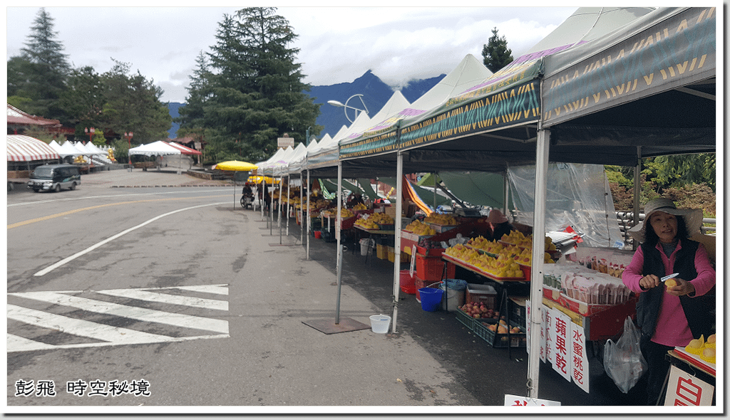 《梨山風景區》《梨山賓館》【台中美景】怎麼玩一次搞懂!!