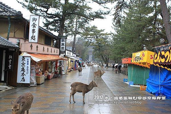 2.東大寺表參道