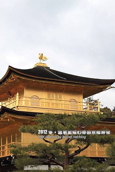 20.吉祥鳳凰