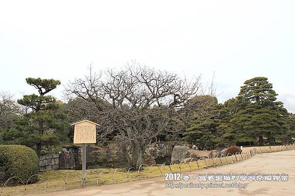 15.二之丸庭園