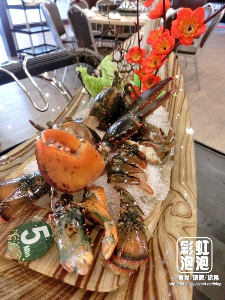 31.鼎陶蒸 蒸汽海鮮鍋物-波士頓龍蝦.jpg