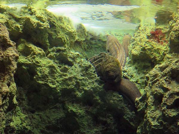 IMG_0361.jpg