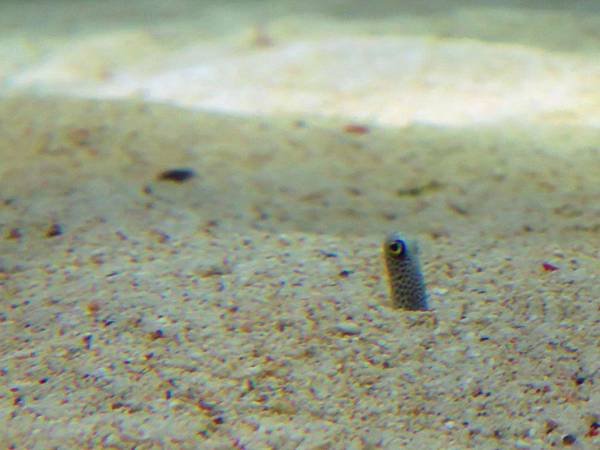 IMG_0451.jpg