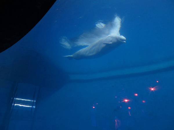 IMG_0477.jpg