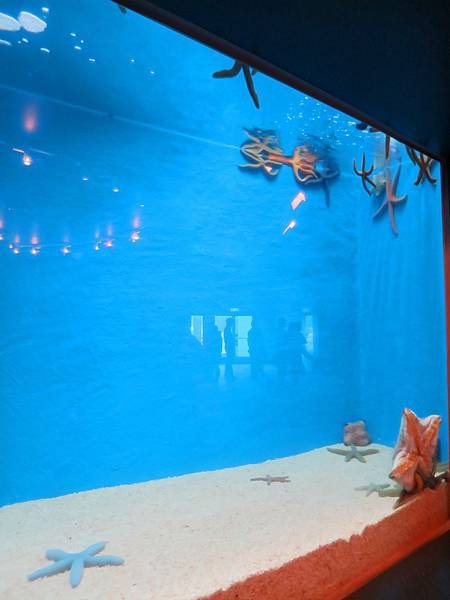 IMG_0528.jpg