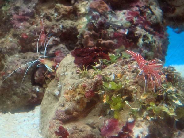 IMG_0530.jpg