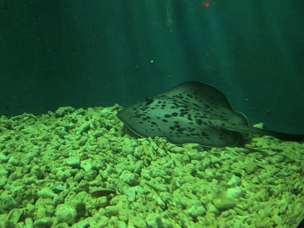 IMG_0543.jpg