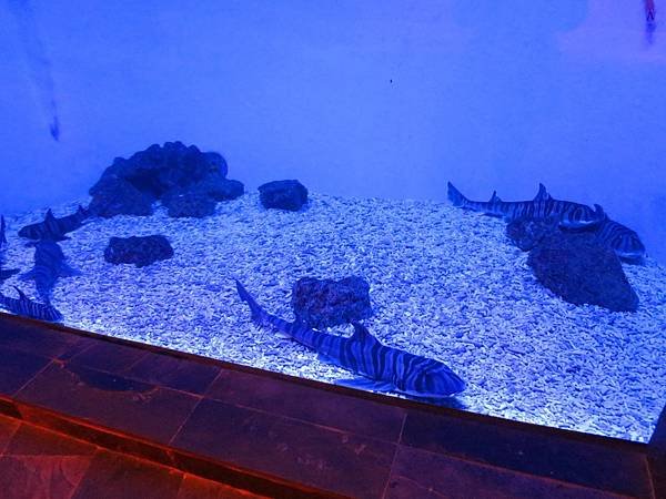 IMG_0675.jpg