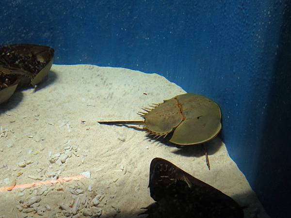 IMG_0680.jpg