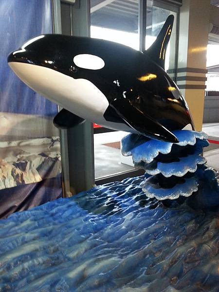 20140819_160619.jpg