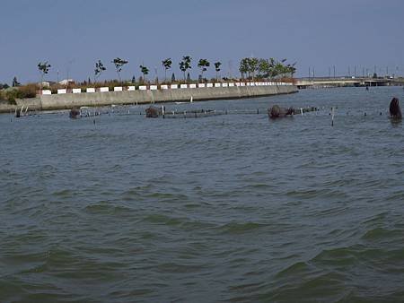 IMG_7877.JPG