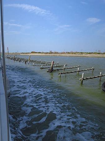 IMG_7879.JPG