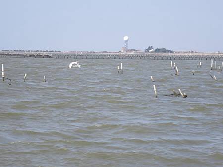 IMG_7902.JPG