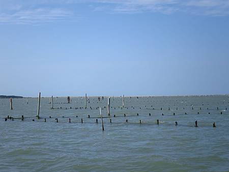IMG_7924.JPG
