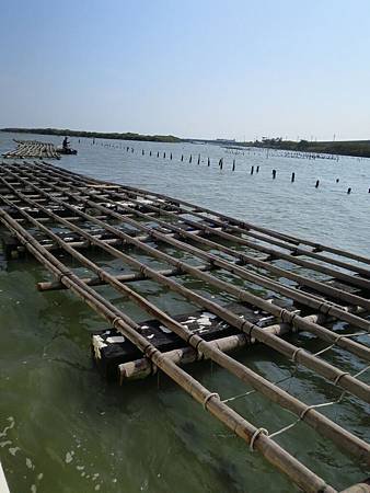 IMG_7940.JPG