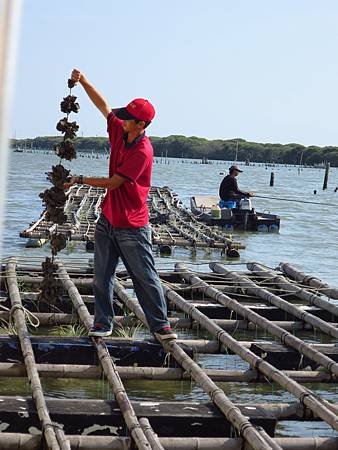IMG_7948.JPG