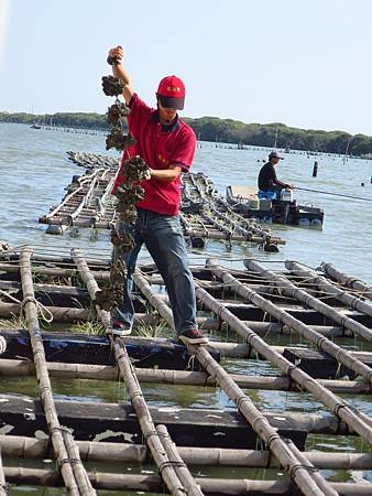 IMG_7950.JPG