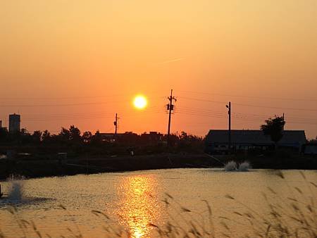 IMG_8097.JPG