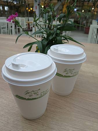 香草菲菲 (26).JPG