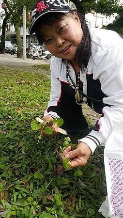 楊士芳紀念林園 (3).jpg