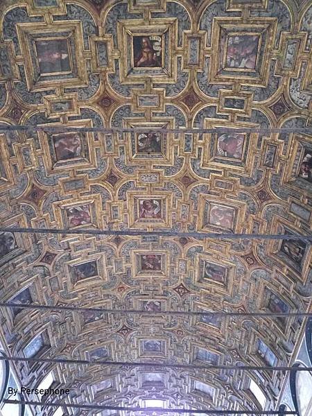 IMG_20160607_30.jpg
