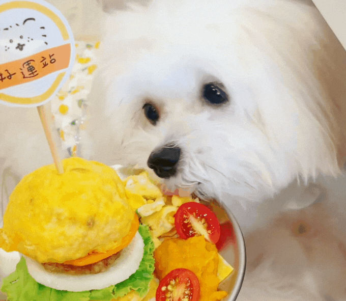 【台北輕食咖啡廳】Haooyun Station 好運站｜好