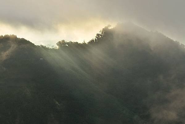 阿里山隙頂 (5)