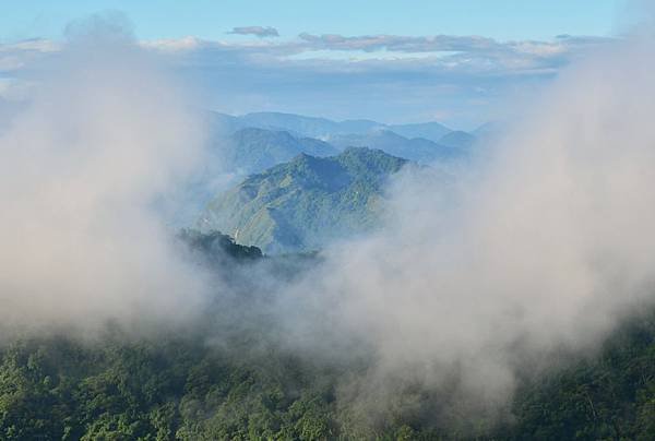 阿里山隙頂 (17)