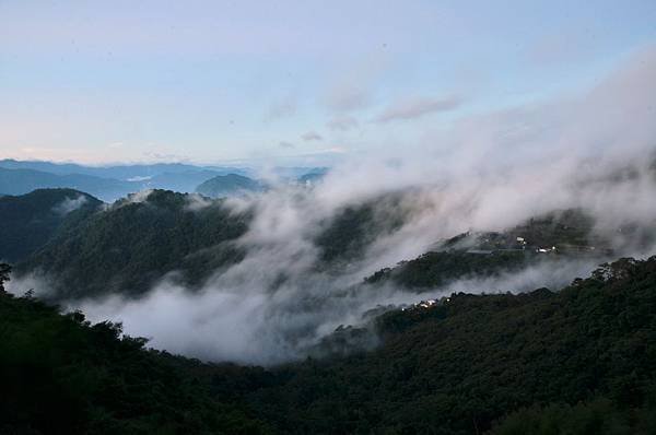 阿里山隙頂 (19)