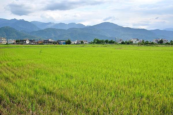 宜蘭伯朗大道 (2)