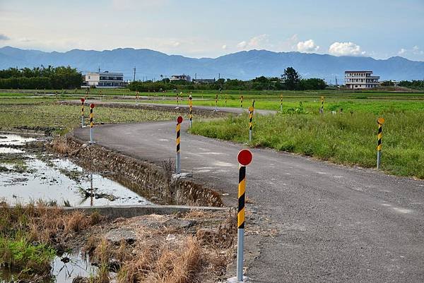 宜蘭伯朗大道 (3)