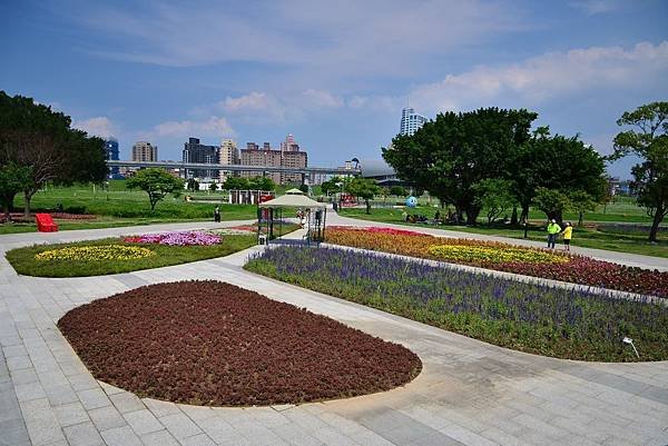 水漾公園花海 (2)