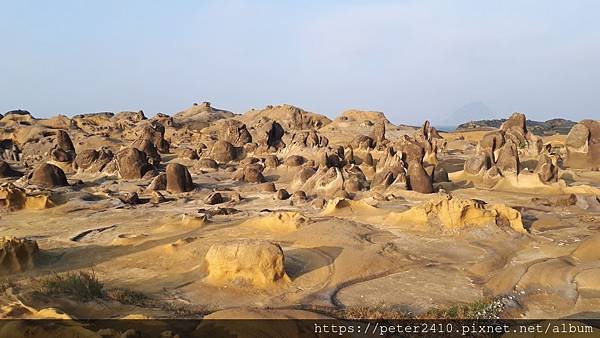 和平島地質公園 (5).jpg