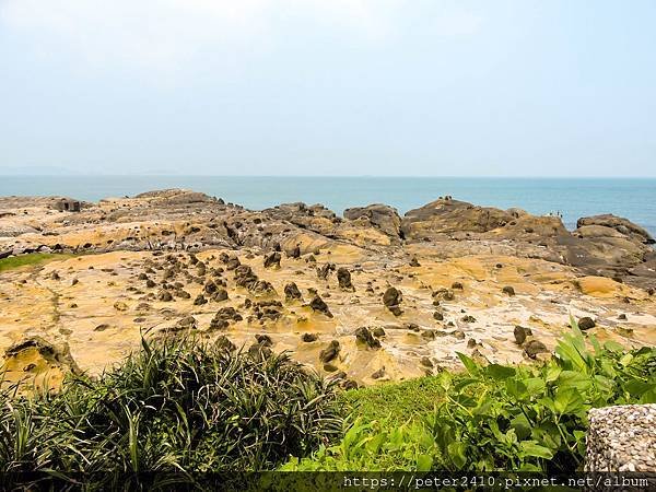 和平島地質公園 (60).jpg