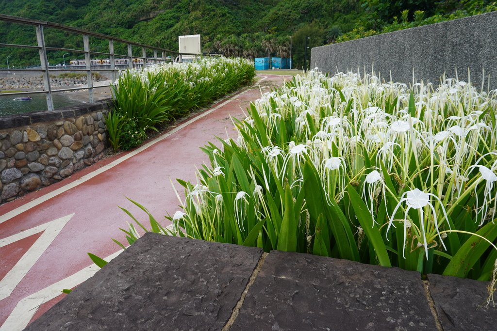 望海巷跨海景觀橋 (9).JPG