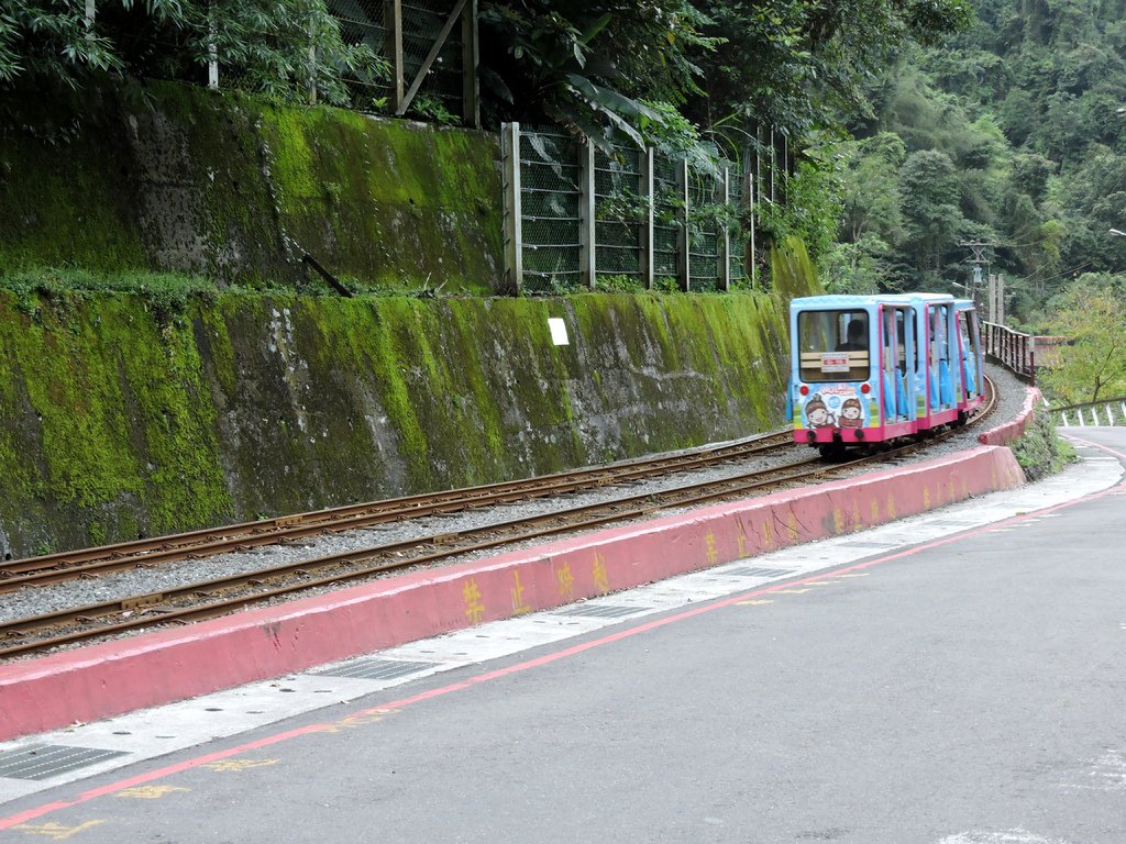 烏來台車 (25).JPG