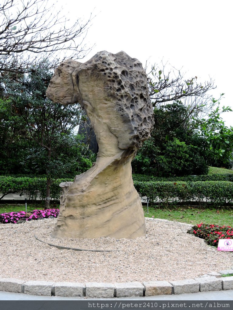 野柳地質公園 (10).JPG