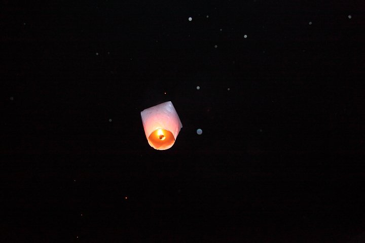 IMG_8032.JPG