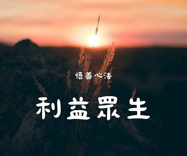 悟善禪師教我們的典故~【李時珍】