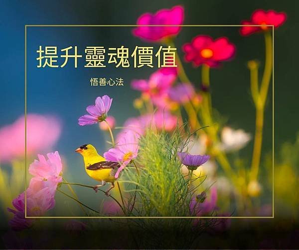 悟善禪師教我們的典故~~【范獻子】